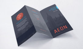 Tri Fold Brochure